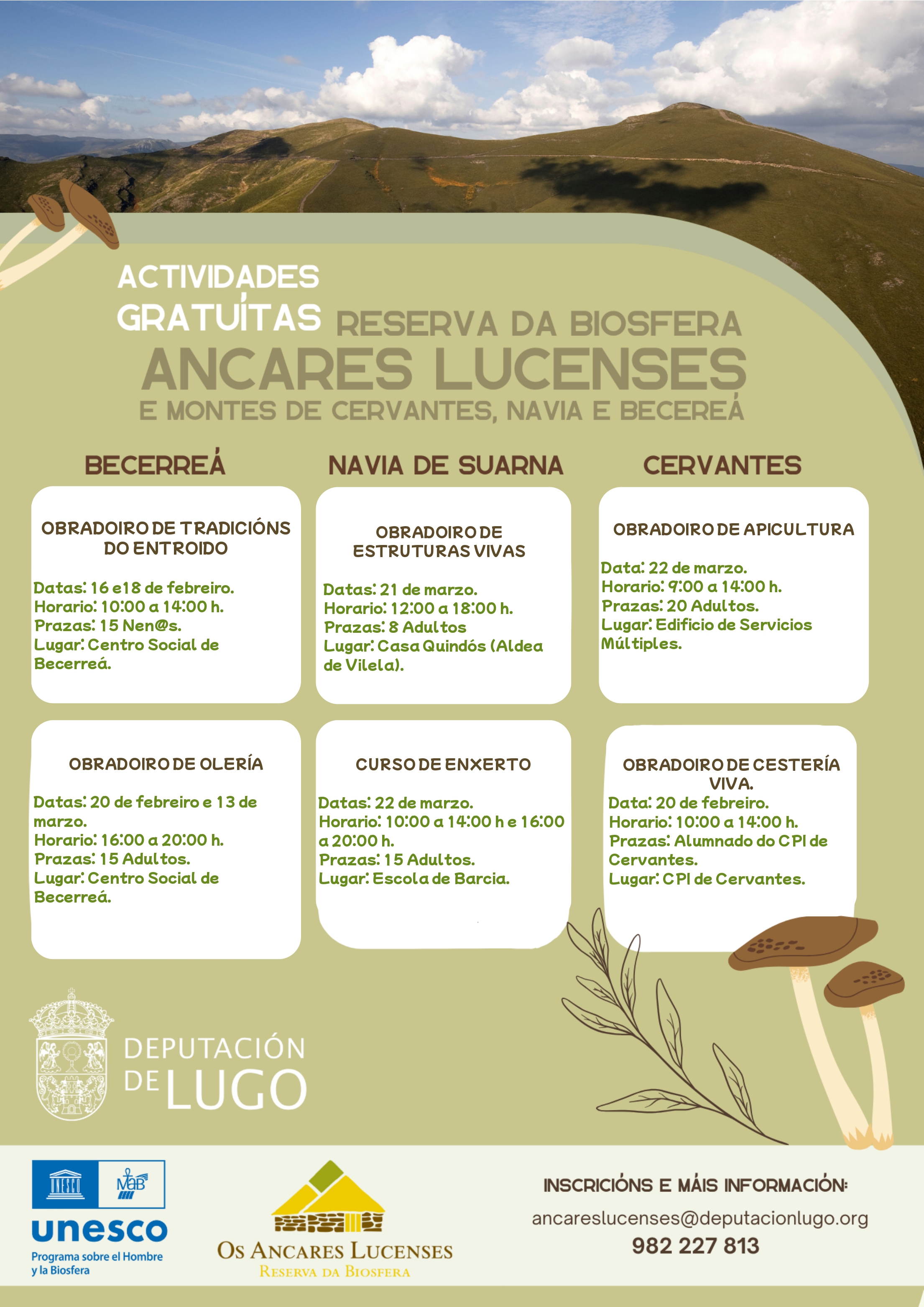 Cartel actividades
