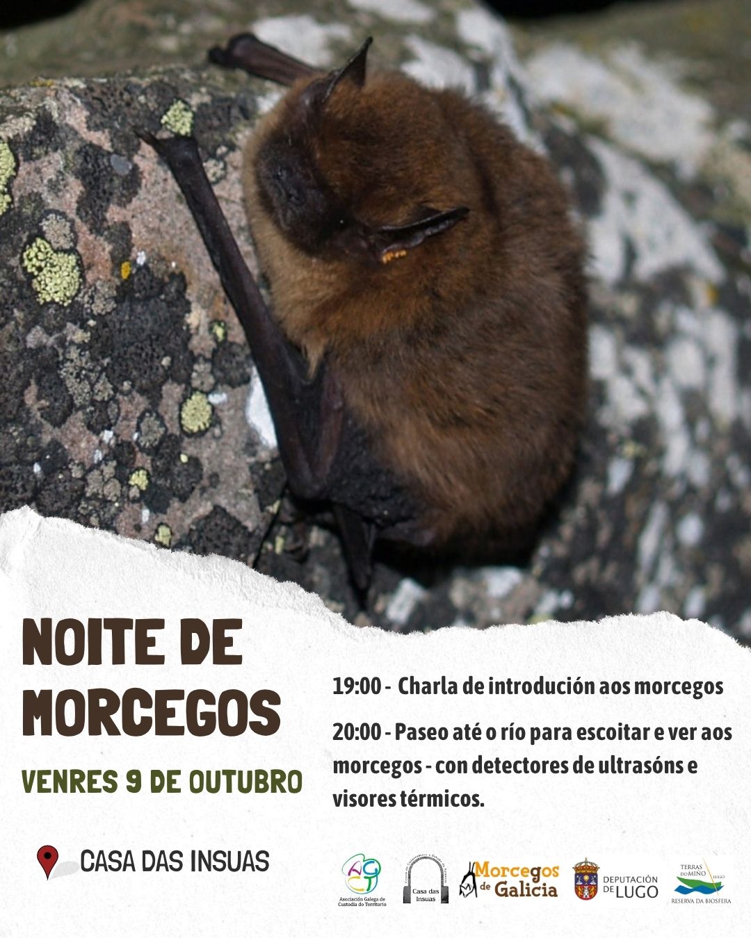 cartel