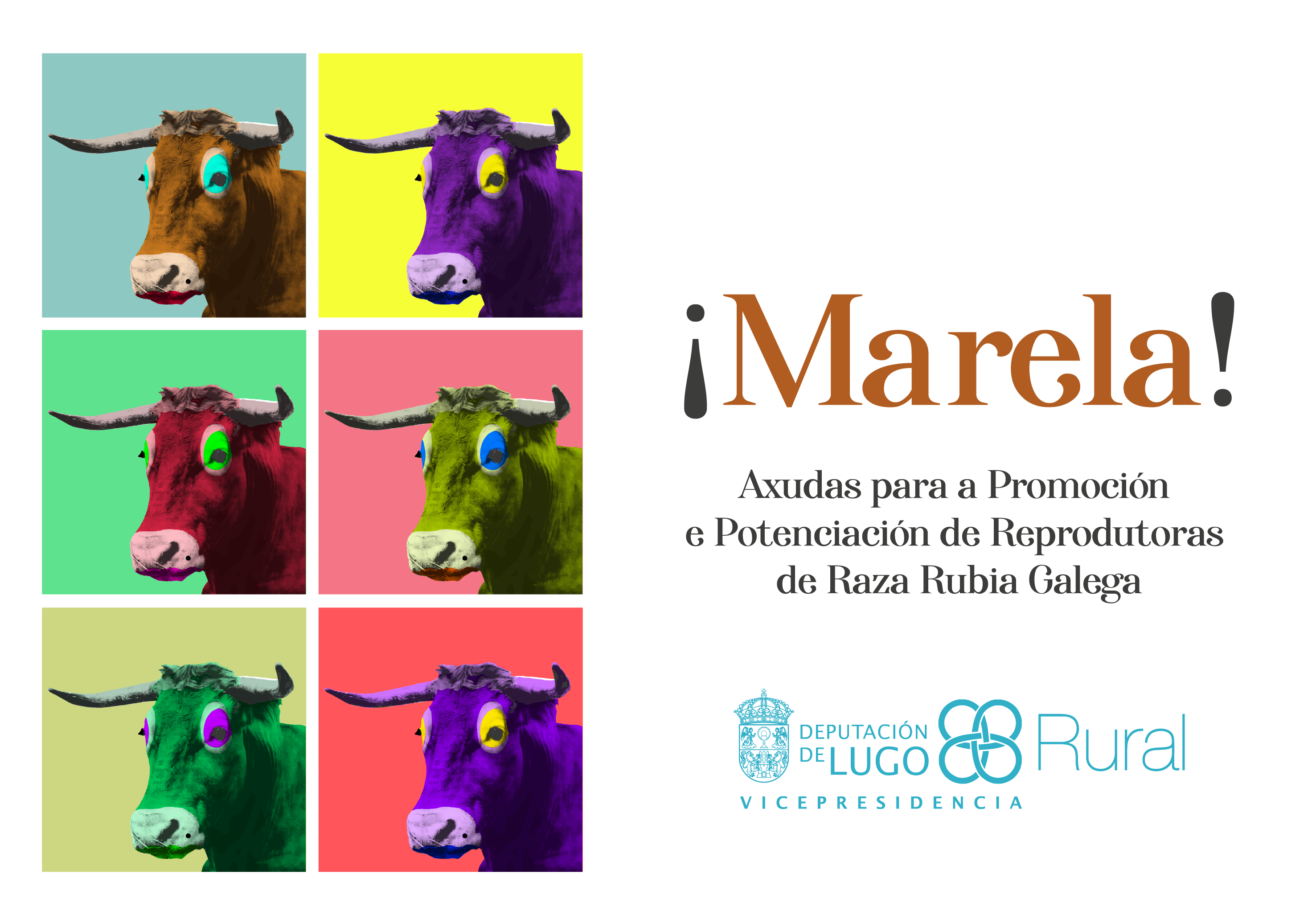 marela!