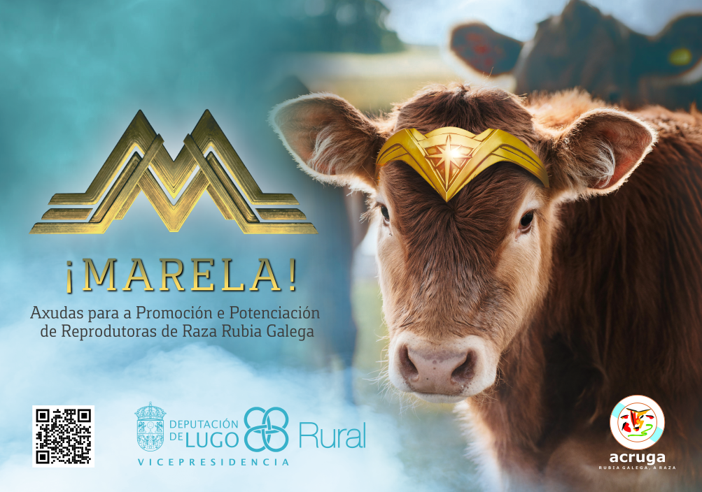 Marela! 2025
