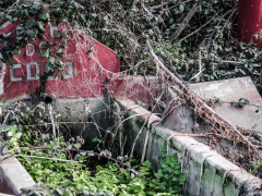 A ALMA DA AUGA MEMORIA DUN LAVADOIRO EN RUINAS - PAULA ARIAS ABELLA