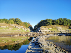 REFLEXO NA QUIETUDE DO MIÑO O CANEIRO A PEDRA E A AUGA EN HARMONÍA - CLARA FERNÁNDEZ SANDE