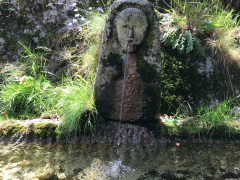ROSTRO DE PEDRA, ALMA DE FONTE - MIGUEL ANXO MARTINEZ NEIRA