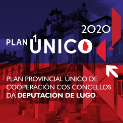 Plan Unico 2020