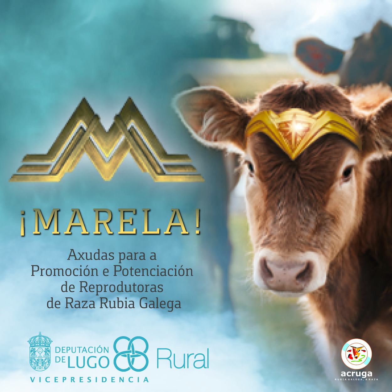 Marela 2025
