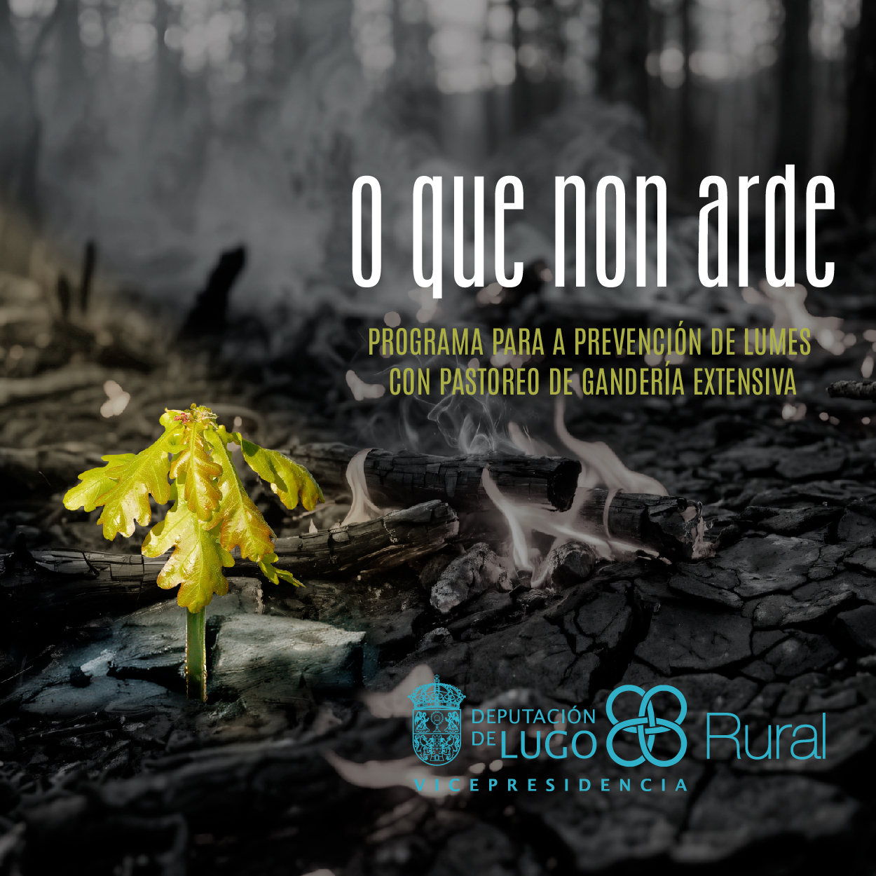 Programa de apoio á gandería extensiva
